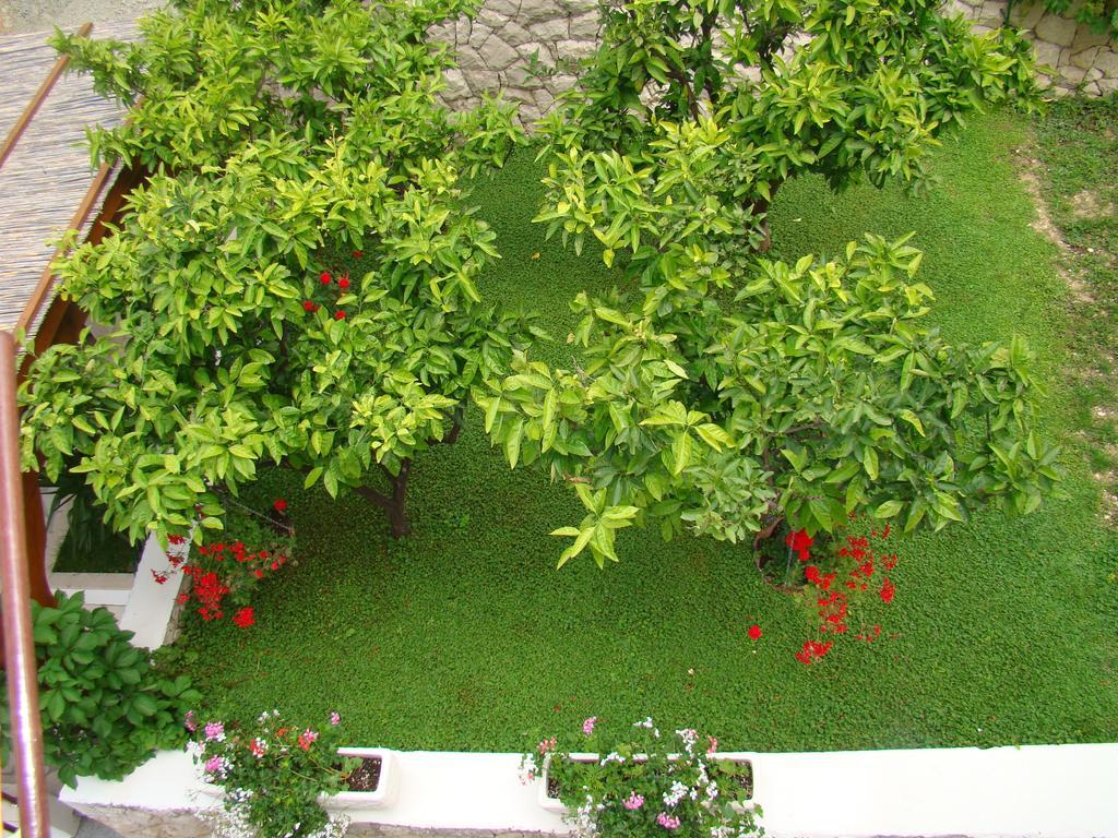 Apartments Villa Sunce Dugi Rat Zewnętrze zdjęcie